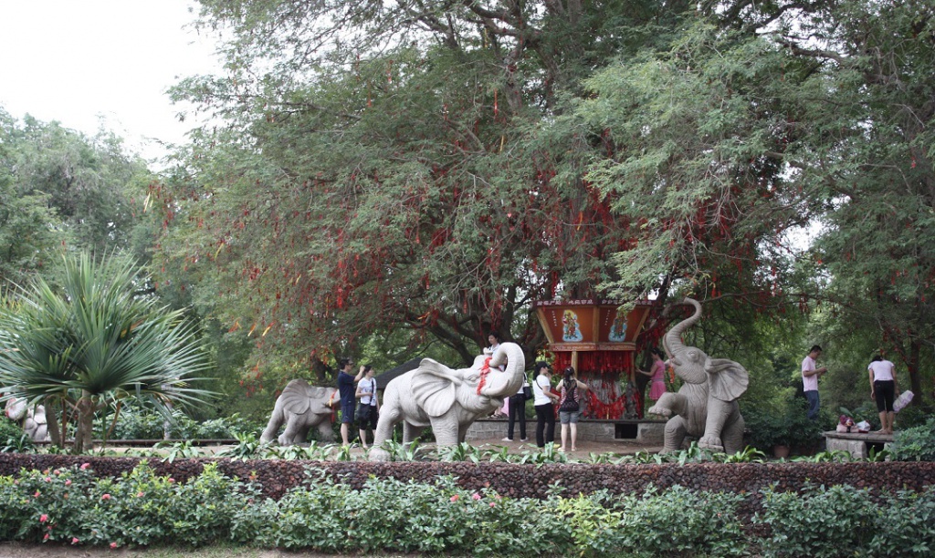 Китай 2010 446.jpg
